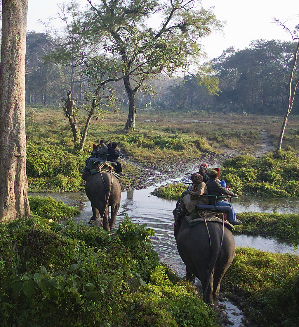 Dooars Wilderness Jungle